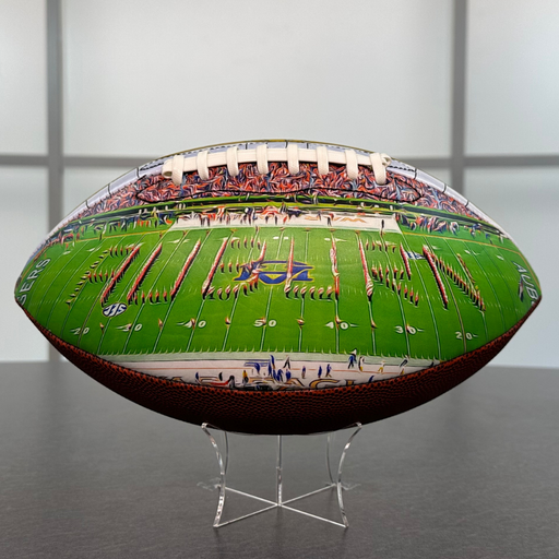 Darrell K Royal Memorial Stadium Football (Texas) — Sport Relics